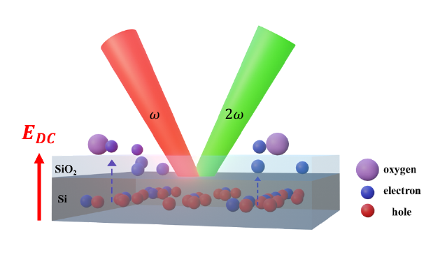 (十二月)羅光耀教授和他的研究團隊利用二次諧波對磷摻雜矽超薄膜的摻雜濃度進行了非破壞性量測
